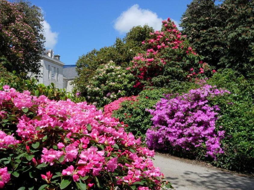 Glasney Rooms, University Campus Penryn Falmouth Exterior foto
